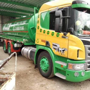 Decoración vehicular - camion