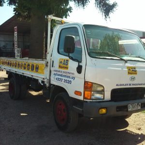 Decoración vehicular - camión